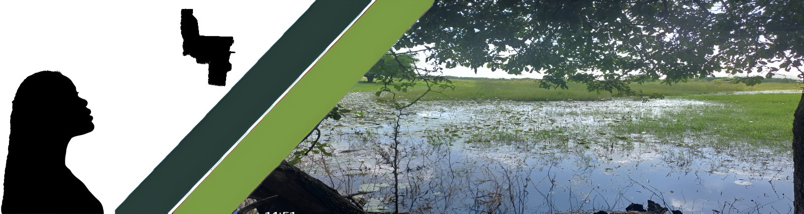 Banner de la página